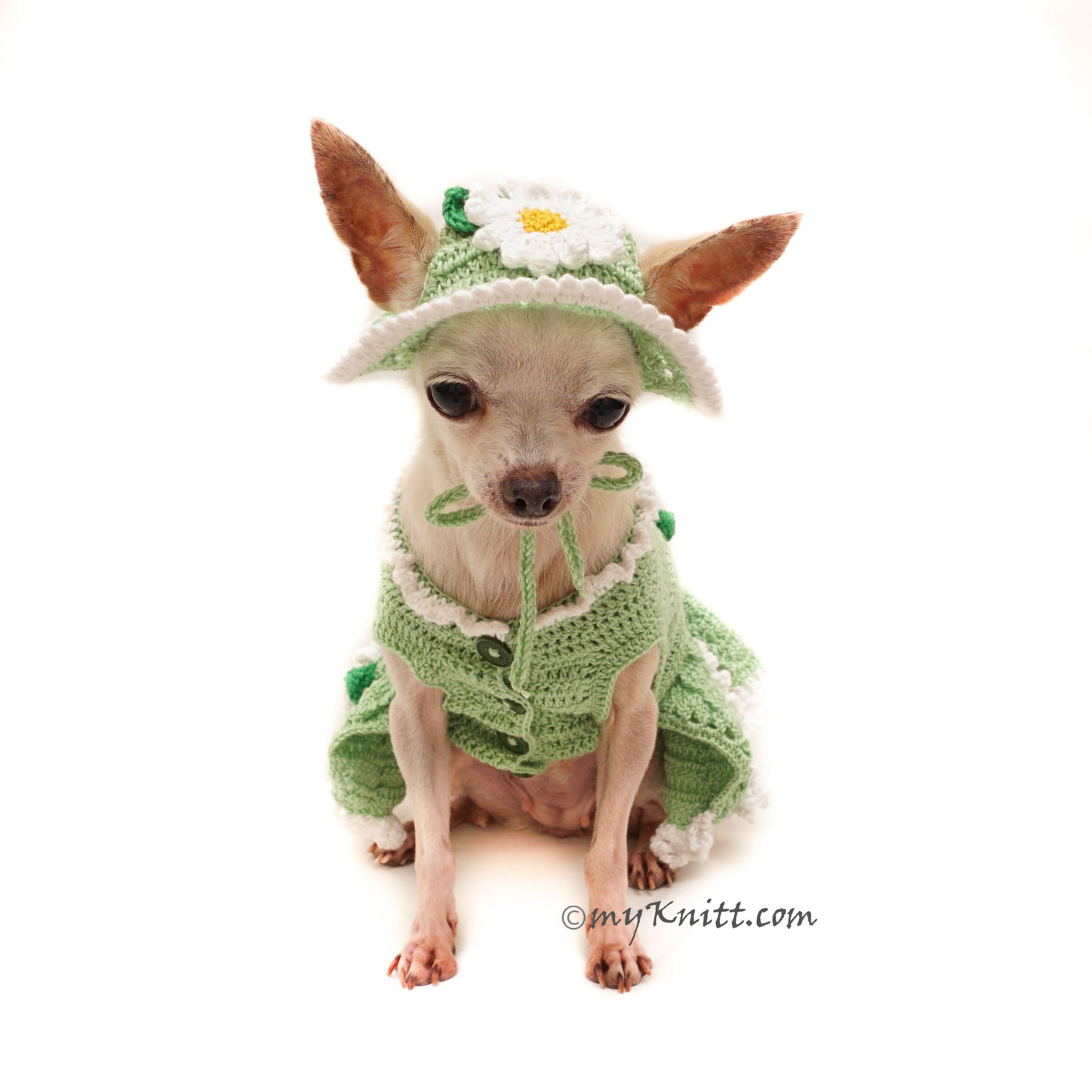 Mint Green Dog Dress Summer Flower, Mint Green Dog Sun Hat Crochet DF1| myknitt Mint Green Dog Dress Summer Flower, Mint Green Dog Sun Hat Crochet DF1| myknitt