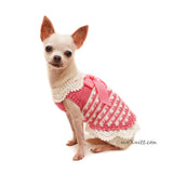 Chihuahua Dress Custom by Myknitt