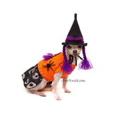 Cute Haloween Witch Pet Costume Myknitt