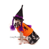 Witch Halloween Pet Costume Hat Crochet by Myknitt