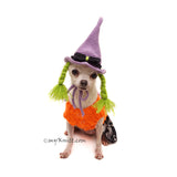 Purple Witch Dog Wig Crochet by Myknitt