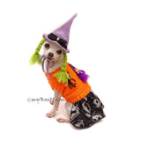 Funny Dog Wig Witch Crochet by Myknitt 