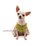 Small Dog Clothes Handmade Crochet Myknitt