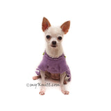 Purple Crochet Dog Clothes Myknitt