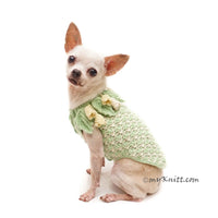 Crochet Flower Calla Lily, Dog Clothes Chihuahua, Dog Clothes Yorkshire Myknitt 