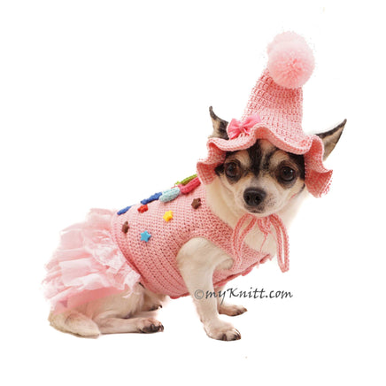 Cute Chihuahua Dress Birthday Myknitt 