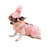 Birthday Pet Costume Personalized Custom Myknitt