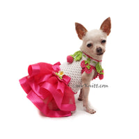 Cute Chihuahua Dress Custom by Myknitt