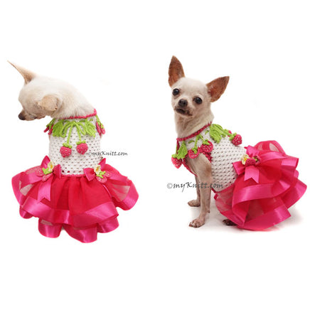 Pink Dog Tutu Strawberry by Myknitt