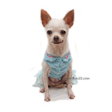 custom dog dress affordable Myknitt designer 