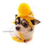 Teddy Bear Cute Amigurumi Dog Clothes with Hat DF89 by Myknitt  (3)