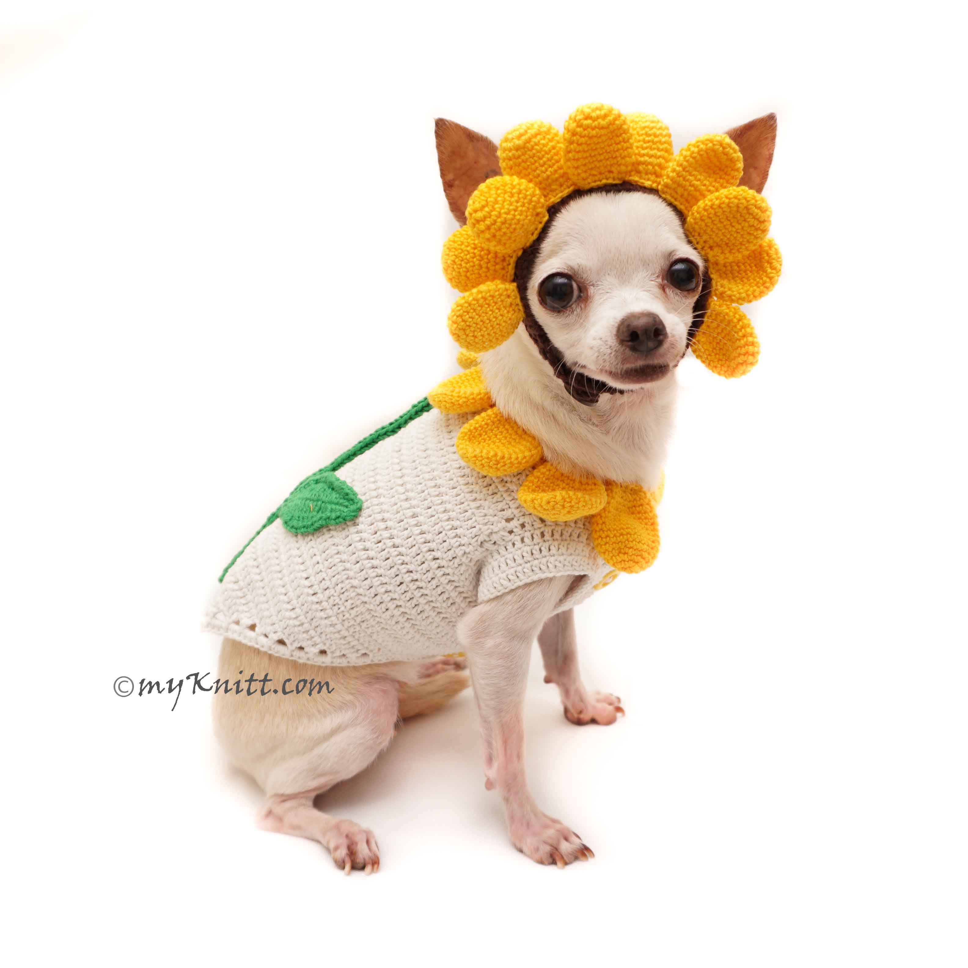 Sunflower Costume for Dogs Cute Pet Halloween Costume DF94 by Myknitt