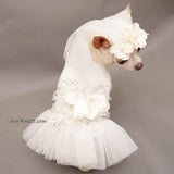 White Bridal Wedding Dog Dress with White Veil Hand Crochet DF95 by Myknitt