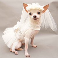 White Bridal Wedding Dog Dress with White Veil Hand Crochet DF95 by Myknitt (2)