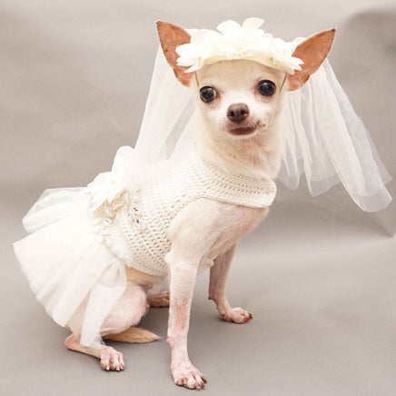 White Bridal Wedding Dog Dress with White Veil Hand Crochet DF95 by Myknitt (2)