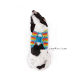 Fun Colorful Rainbow Dog Harness Velcro DH60 By Myknitt (2)