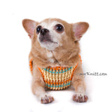 Velcro Adjustable Puppy Harness Choke Free Chihuahua Harness DH76 by Myknitt (1)