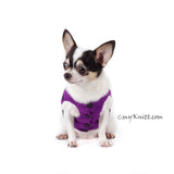 Evil Minion Dog Costume Purple Despicable Me Pet Clothes Halloween DK782 by Myknitt (3)