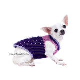 Butterfly Dog Harness Purple Summer Dog Clothes DK907 (1)