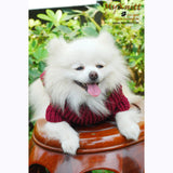 Burgundy Maroon Dog Sweater Cotton Hand Knitting DK835 by Myknitt (3)