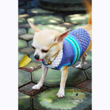 Blue Little Dog Sweaters Crochet Cute Dog Clothes DK849 by Myknitt (2) 