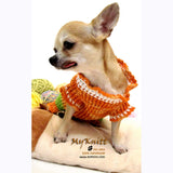 Orange Mint Green Chihuahua Sweater Cotton Puppy Clothes DK860 by Myknitt (3)