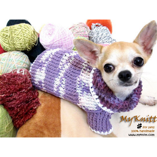 Purple Crocheted Chihuahua Sweater Soft and Warm Cotton Sweater DK864 by Myknitt