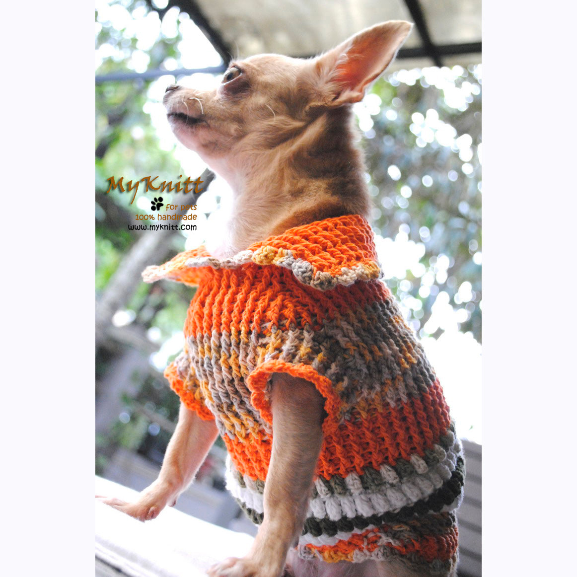 Puffy Orange Olive Knitted Chihuahua Sweater DK868 by Myknitt