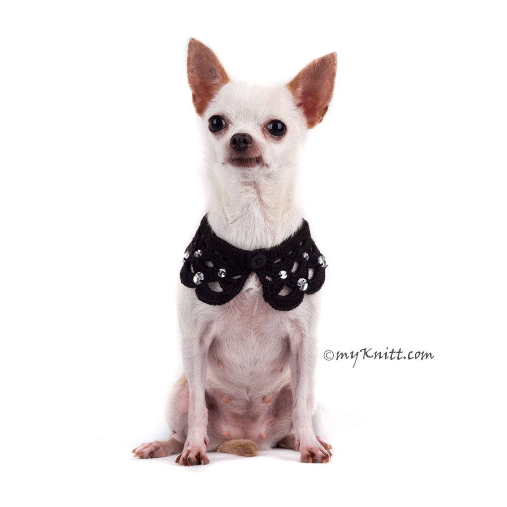 Black Elegant Dog Shawl Pet Collar Handmade Crocheted with Crystal DN19