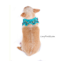 Turquoise Dog Shawl Unique Crocheted Pet Scarf with Pearls DN20 by Myknitt (3)