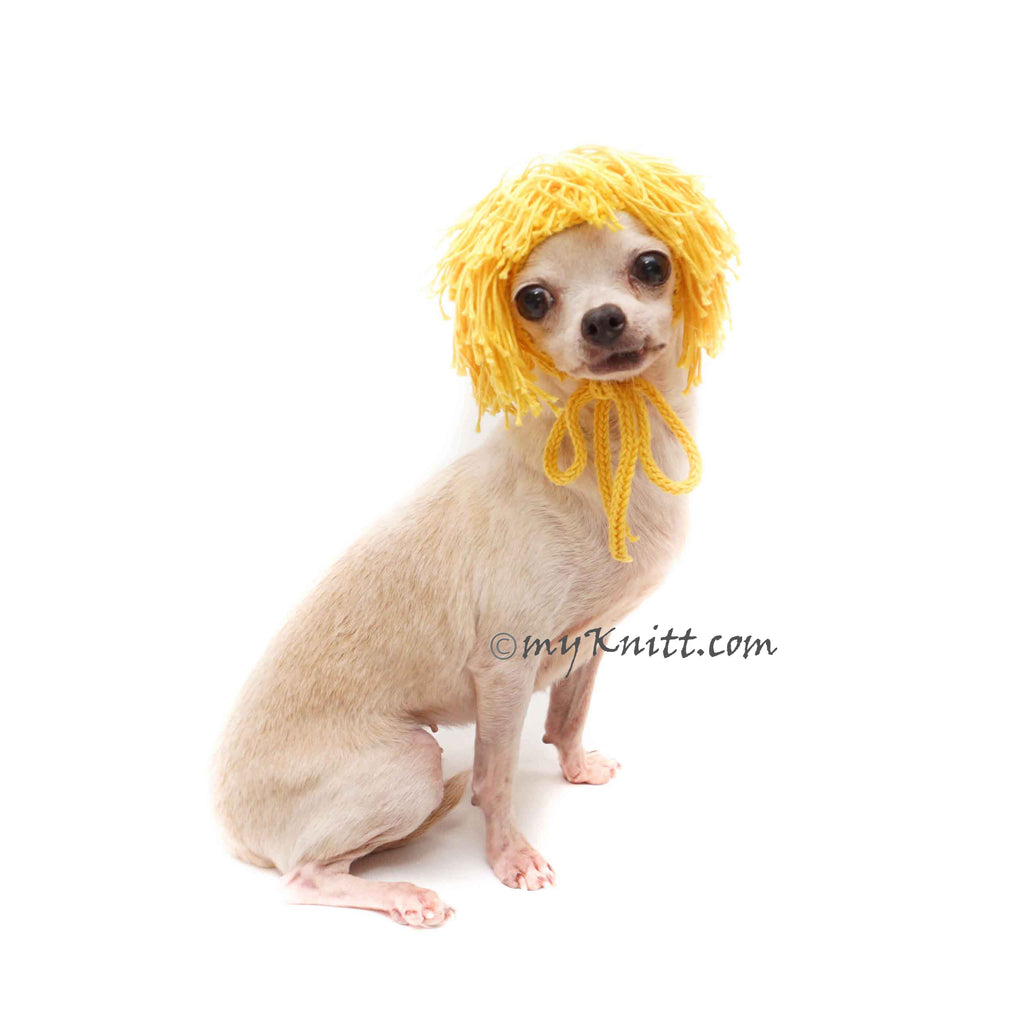 Blonde Dog wig, Blonde Hair Dog hat Crochet, Funny Dog Wig, Pet Photo Props, Funny Pet Hat DW4 Myknitt