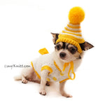 Teddy Bear Cute Amigurumi Dog Clothes with Hat DF89 by Myknitt